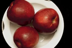 WineCrispâ„¢ Apple