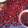 American Cranberry -Plants Store 2178 960x960 1