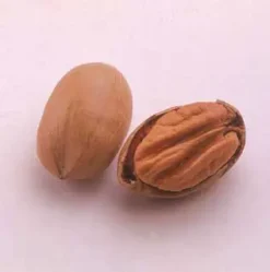 Plants Store -Plants Store 289 960x960 1