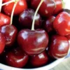 Starking® Hardy Giant™ Antique Sweet Cherry -Plants Store 3310 960x960 1