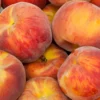 Florida Prince Peach -Plants Store 5646 960x960 1
