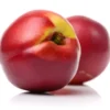 Avalon™ Nectarine -Plants Store 6380 960x960 1