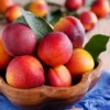 Amoore Sweet Nectarine -Plants Store 6381 960x960 1