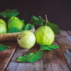 Pineapple Guava -Plants Store 6601 960x960 1