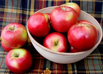 SnowSweet® Apple 4 SnowSweet® Apple - Image 2