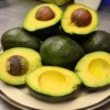 Choquette Avocado -Plants Store 7040 960x960 1